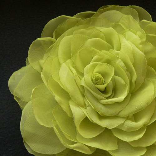 Light Green — foto 1