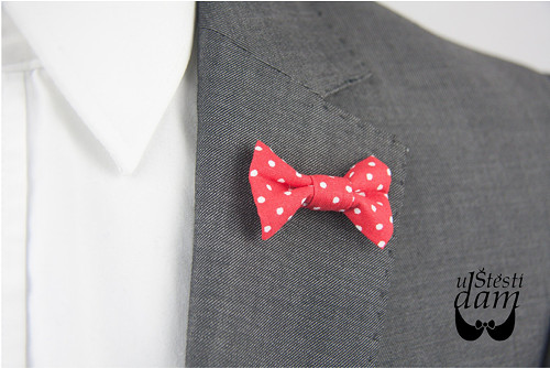 Motýlek do klopy Red Polka Dot v dárkové krabičce