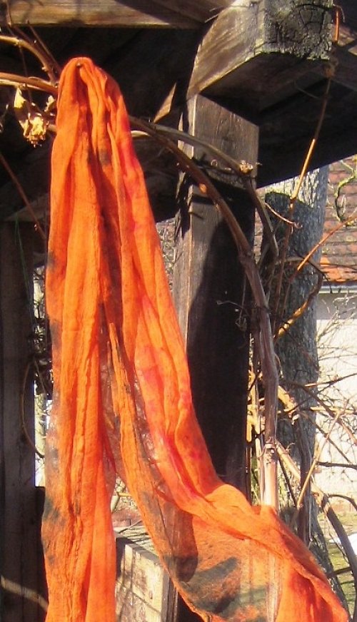 Oranžová Pomerančová — foto 1