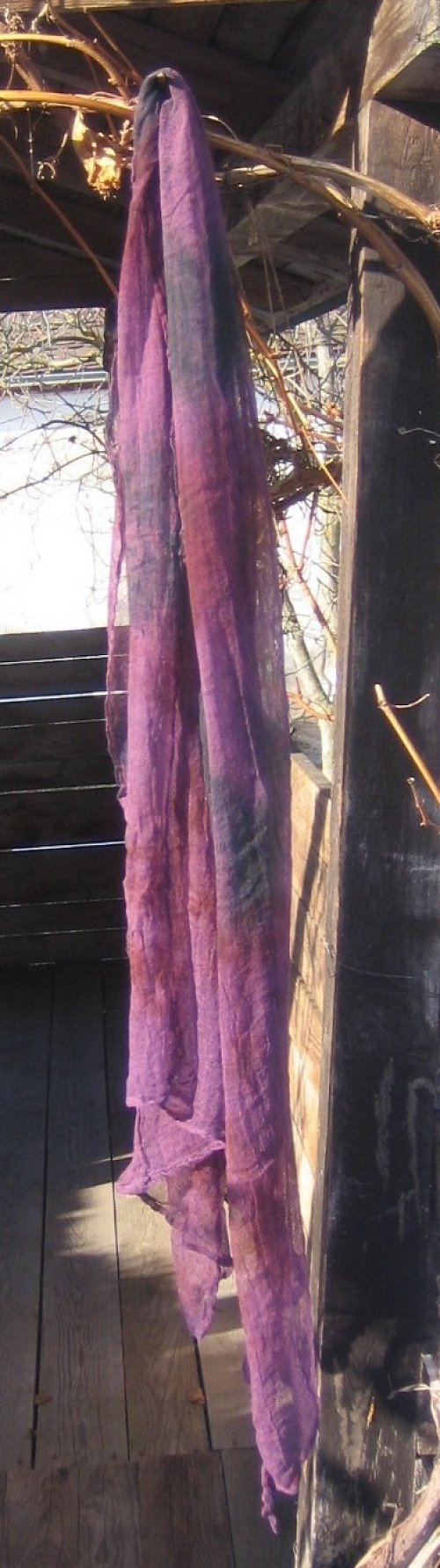 Fialová Bordó — foto 1
