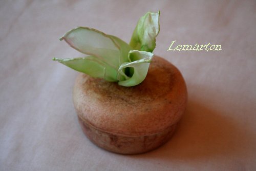 Ekologic natural citrus box ©_spring_9 cm — foto 1