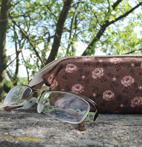 Pouzdro na brýle "Růžičky" — foto 1