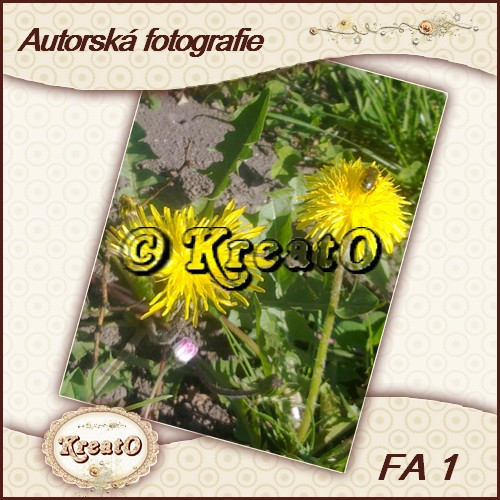 Autorská fotografie