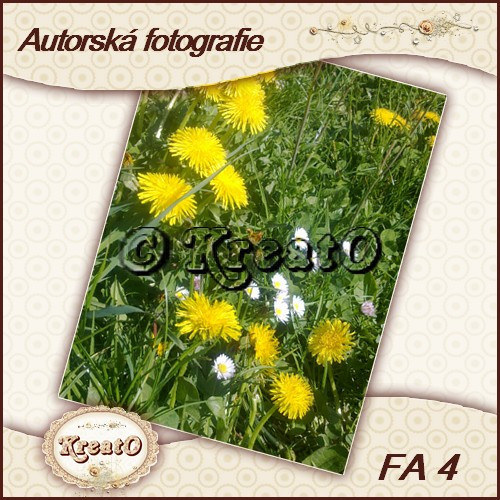 Autorská fotografie