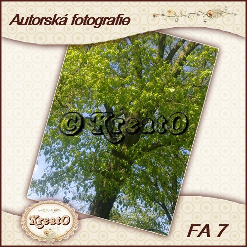 Autorská fotografie — foto 1