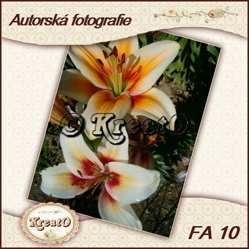 Autorská fotografie