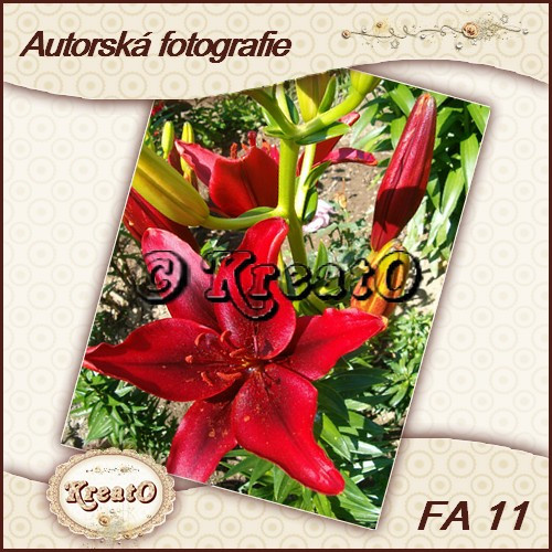 Autorská fotografie — foto 1