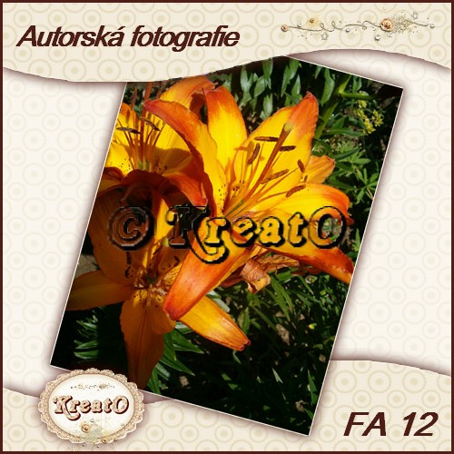 Autorská fotografie