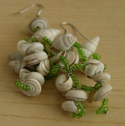 Shells on the Shore — foto 1