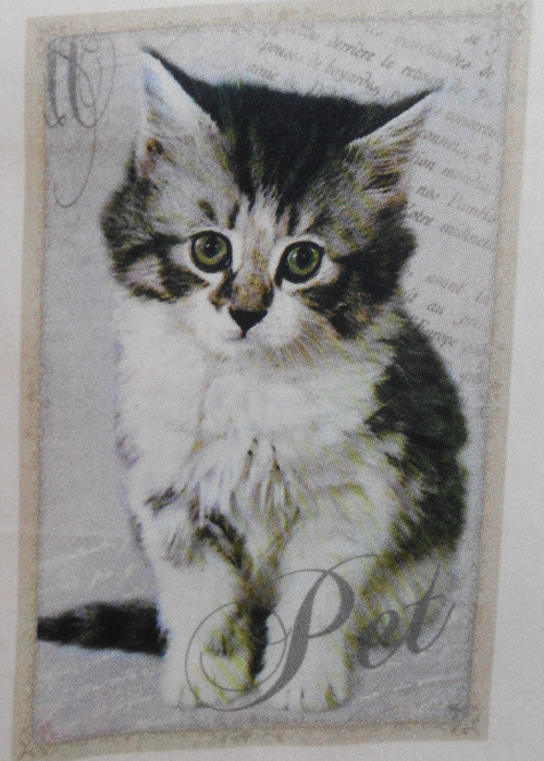 PANEL (2)- bavlněný satén 9 x 14 cm — foto 1