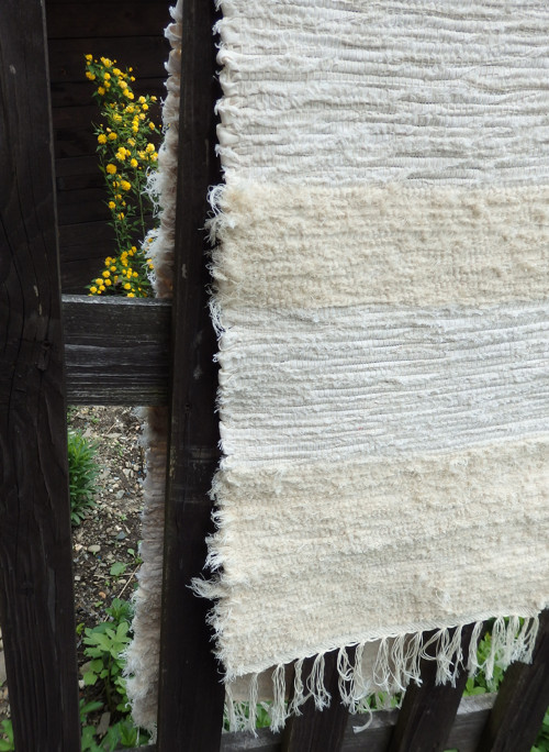 Malý beránek — foto 1