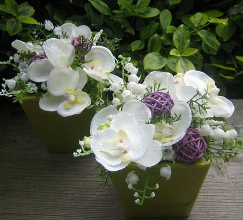 Orchideje a konvalinky — foto 1