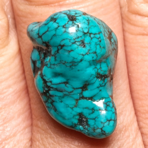 Tyrkys QAA — foto 1