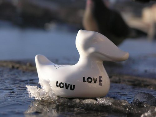 Love Zdar — foto 1