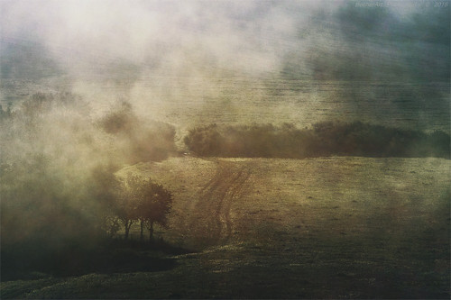 Escape