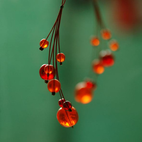 Oranžády kubánské — foto 1