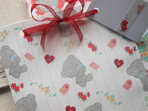 Medvídek Teddy a ptáčci - obal na CD 13x14 cm — foto 1