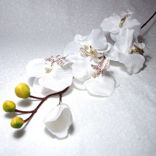 Orchidej bílá 70 cm — foto 1