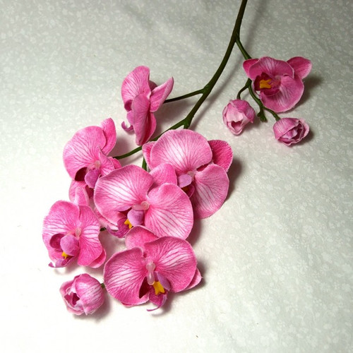Orchidej růžová 67 cm — foto 1