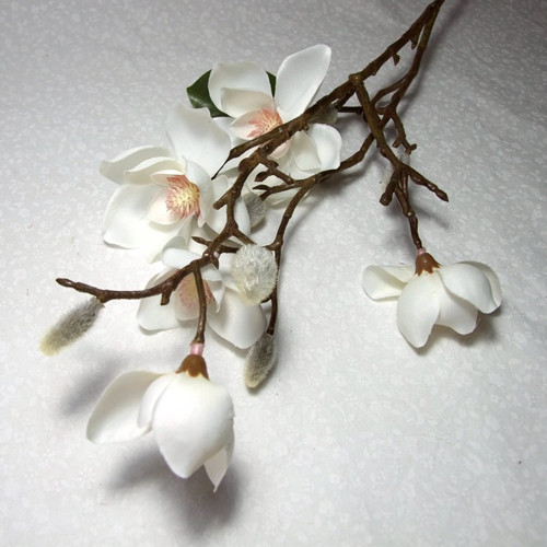 Větev magnólie 65 cm — foto 1