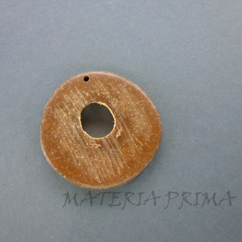 Attalea speciosa 1 ks menší 4,4cm