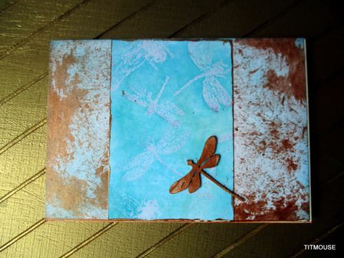Dragonflies — foto 1
