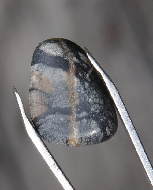 Jaspis Picasso D3743 — foto 1