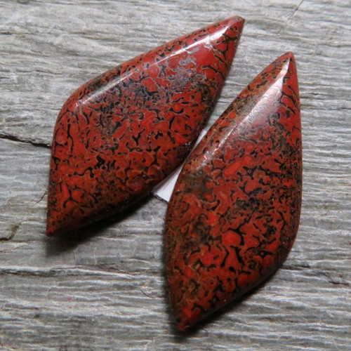 Dinosauří kost, kabošon, pár č.1 — foto 1