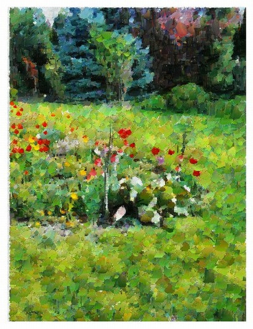 Jaro s tulipány — foto 1