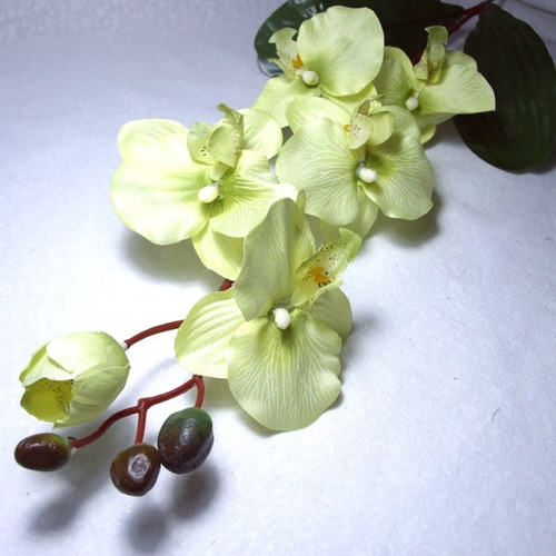 Orchidej světle zelená 77 cm — foto 1