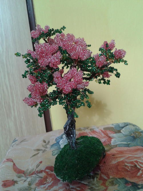 Pink šeřík — foto 1
