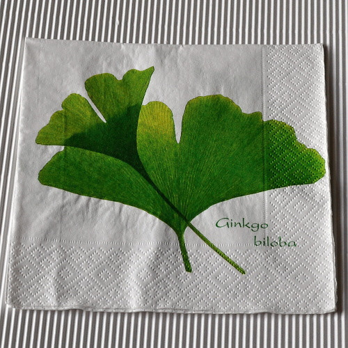 Ubrousek - Ginkgo