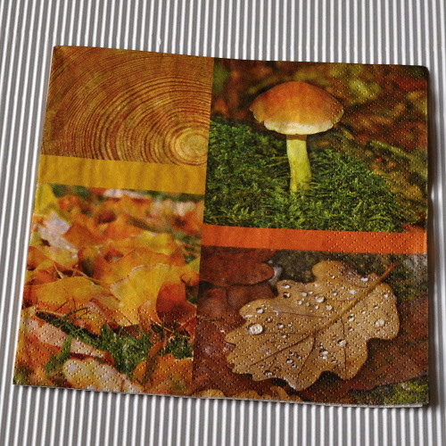 Ubrousek - Podzimní