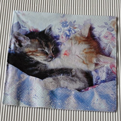 Ubrousek - Koťátka spí — foto 1