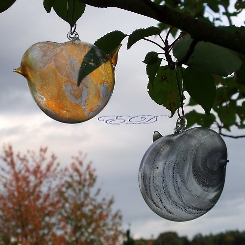 Ptáčci pro IRDV — foto 1