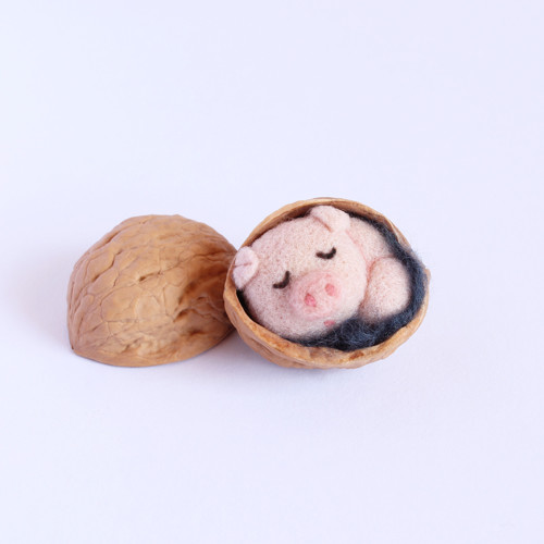 Mini prasátko ve skořápce — foto 1
