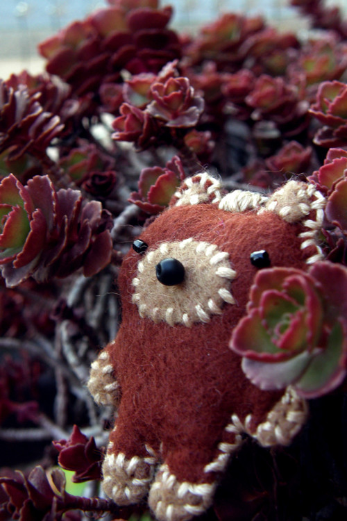 Roztomilý teddybear — foto 1