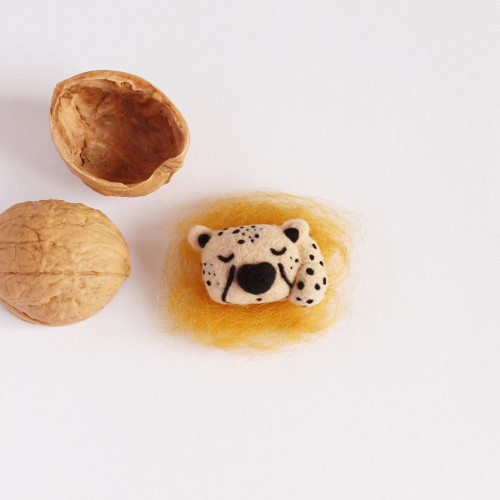 Mini gepard ve skořápce — foto 1