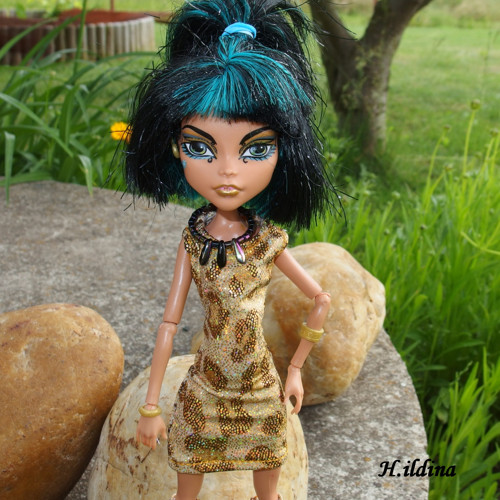 Šaty a podkolenky pro MONSTER HIGH — foto 1