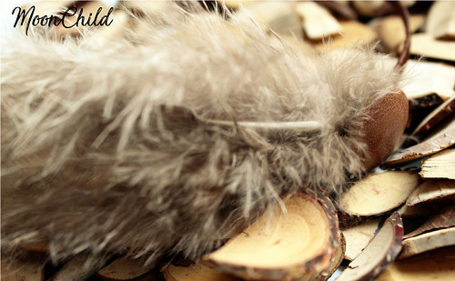 Retro Feathers - čelenka — foto 1