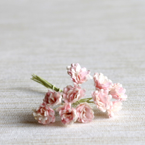 Gypsophila - nevěstin závoj - růžovokrémová 5 ks