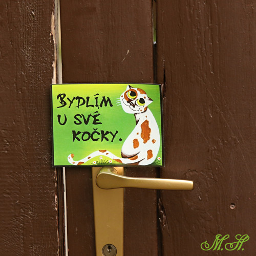Bydlím u své kočky - velká magnetka