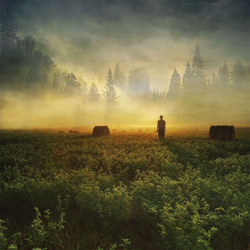 Location:Silence (Part.XVI.)