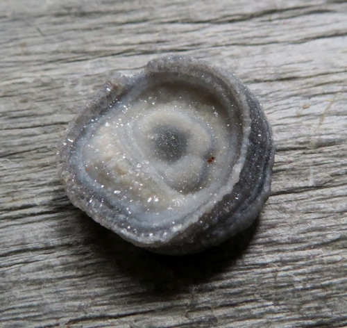 Menší chalcedonová růže č.8 — foto 1