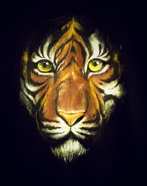Eyes of the tiger — foto 1