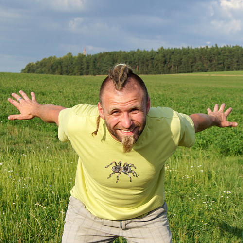 Zelené s pavoukem vel. L — foto 1