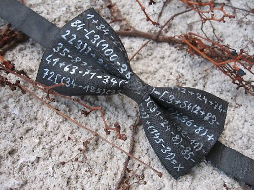 Pánský motýlek - Bláznivý matematik — foto 1