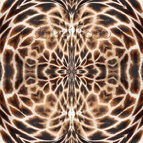 Žirafí mandala — foto 1
