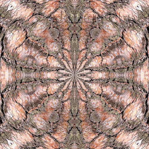 Mandala z kůry