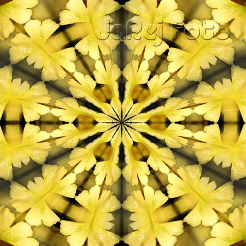 Mandala z ginkga